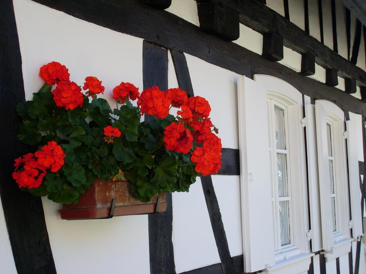 Gites Et Chambres D'Hotes Maison Ungerer Hunspach Exterior photo