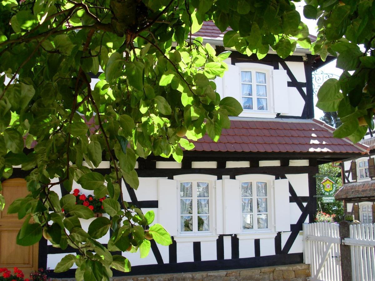 Gites Et Chambres D'Hotes Maison Ungerer Hunspach Exterior photo